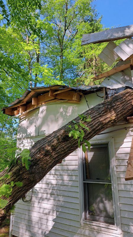 Large tree fallen against the side of a white house after a storm in West Virginia