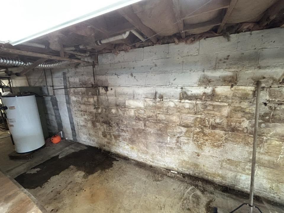 Water staining and mold on a basement block wall found during a mold inspection